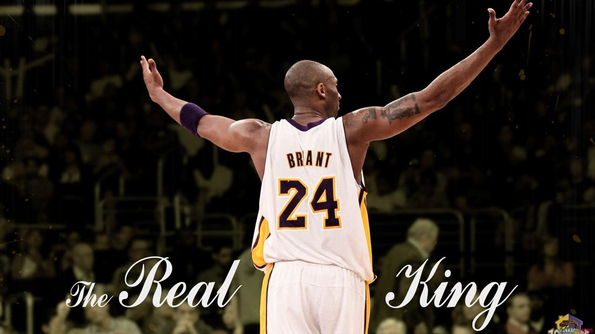 年龄差距引发关注：老将年轻新秀的对决，年轻与年龄无关